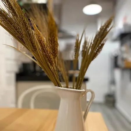 Loft Xera - Parking Privado Jerez de la Frontera