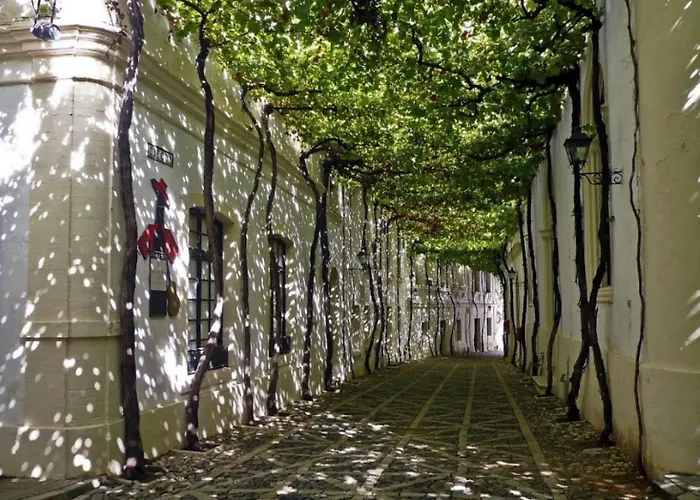 Apartment Loft Xera - Parking Privado Jerez de la Frontera