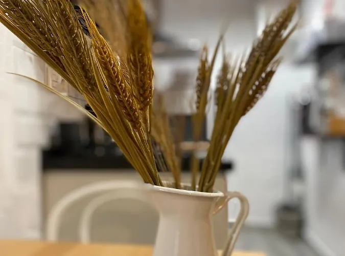 Loft Xera - Parking Privado Jerez de la Frontera