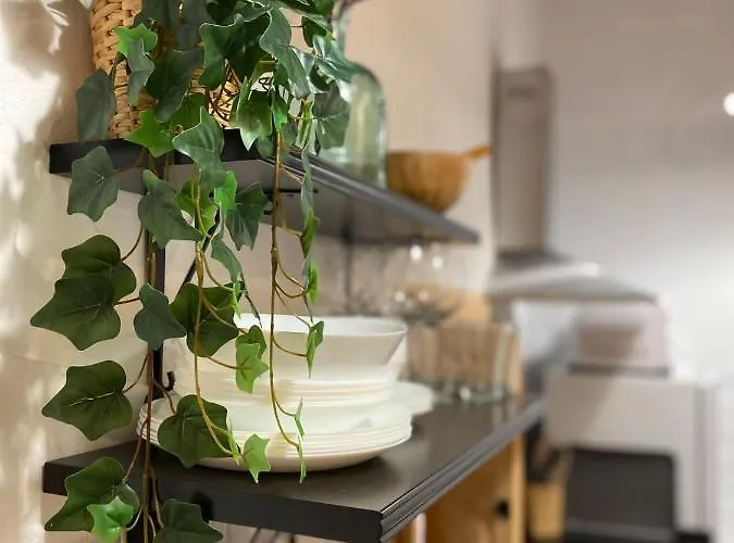 Loft Xera - Parking Privado Apartment Jerez de la Frontera